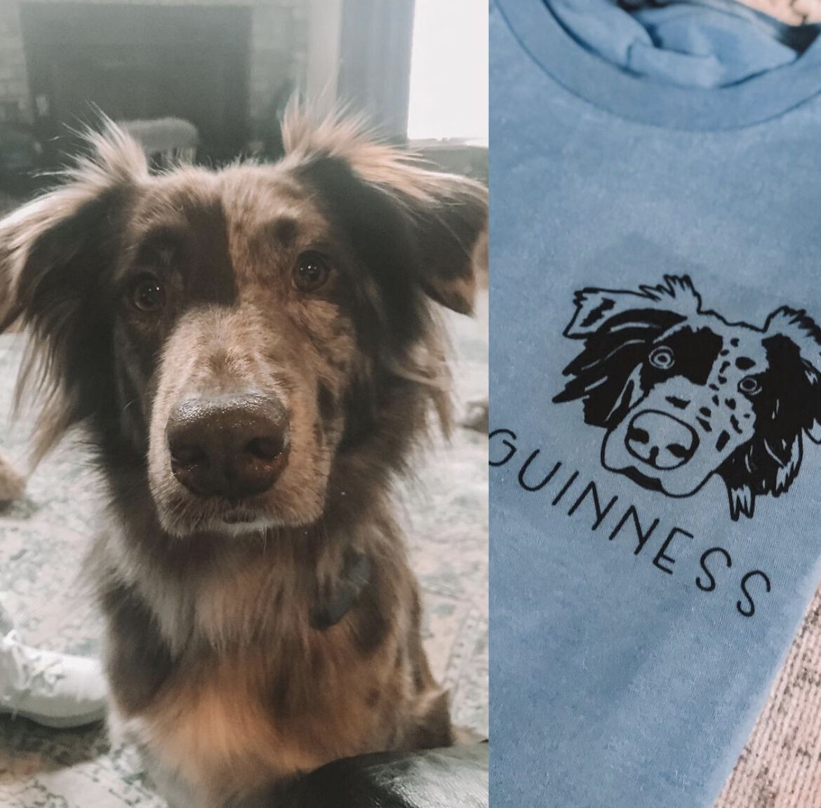 Only the Best for (Wo)man's Best Friend